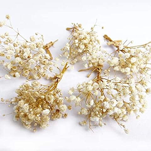 L'BREVOGA 5pcs Mini Dried Baby's Breath Bouquet, Natural Preserved White Gypsophila for Candle Resin Jewelry Pendant Crafts Floral Decoration Cover