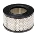 vhbw Filtre d'aspirateur compatible avec Nilfisk VHS 40 L30 PC, 40 L40 LC FM IC, 42 L30 HC PC aspirateur - Filtre HEPA contre les allergies