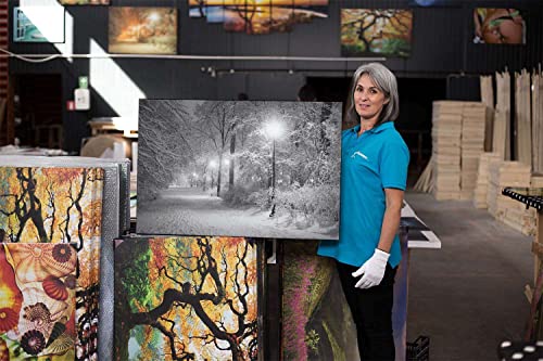 Startonight Canvas Wall Art Black And White Abstract Winter Park Landscape, Framed Artwork Picture Home Decor For Bedroom 24" X 36" #TOP5