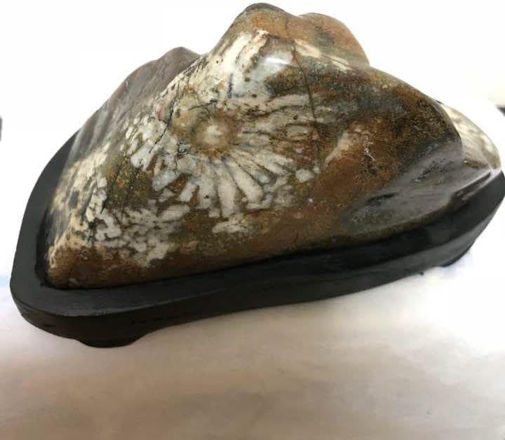 菊花石 岐阜根尾産 536グラム 台座付き 菊花石 岐阜根尾産 536グラム