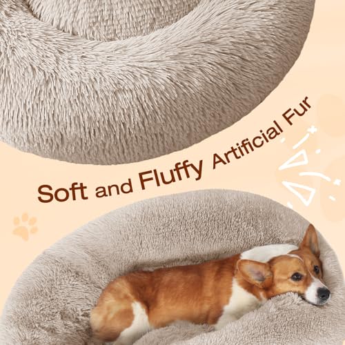 Image of JOLLYVOGUE Dog & Cat Bed, Calming Anti-Anxiety Pet Bed for Small Dogs, Fluffy Donut Cushion for Small and Medium Pets (20 inch)