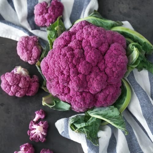 semillas de coliflor, raras semillas de coliflor resistentes para el jardín exóticas 300pcs