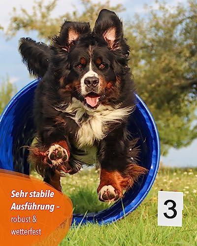 SPORTIKEL24 Nummerntafeln 1–25 – wetterfeste Kunststoff-Dreieckstafeln – 10 x 15 cm – für Agility, Parcours & Turniere