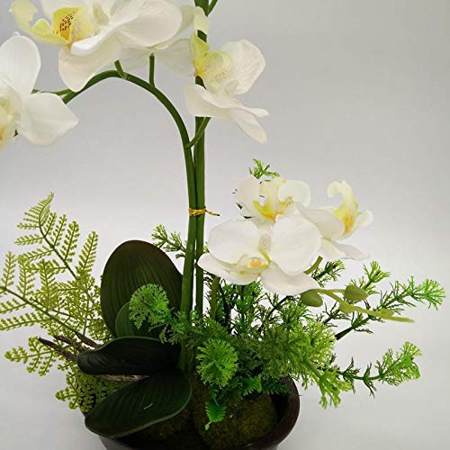 Fleurs de simulation phalaenopsis en pot avec mini bonsaï créatif artisanal - 5
