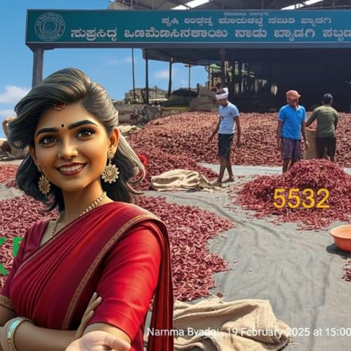 Page de couverture de ಸುಪ್ರಸಿದ್ಧ ಒಣ ಮೆಣಸಿನಕಾಯಿ ನಾಡು ಬ್ಯಾಡಗಿ ಪಟ್ಟಣಕ್ಕೆ ಸ್ವಾಗತ🌶️