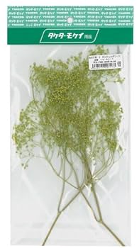 かすみ草ページ 便箋＜A5＞ 透かし かすみ草柄(20579006)｜ミドリオンラインストア