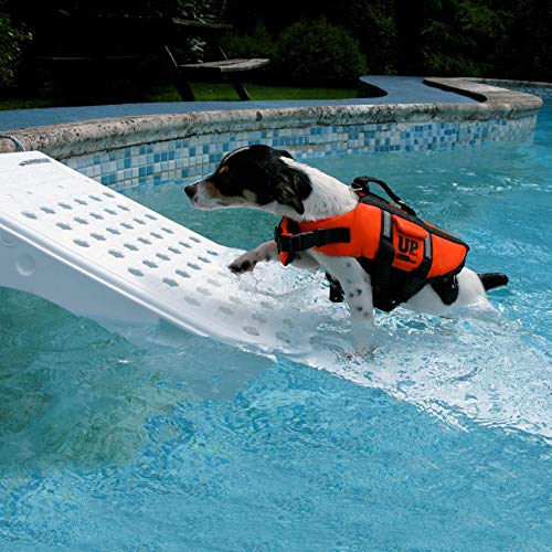 BWT Skamper Ramp helling voor honden