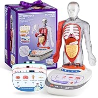Science Can Human Body Model for Kids - Interactive Anatomy Model with 17 Pcs Removable Human Torso, STEM Educational Science Kit for Kids Aged 6+ Boys and Girls Gifts