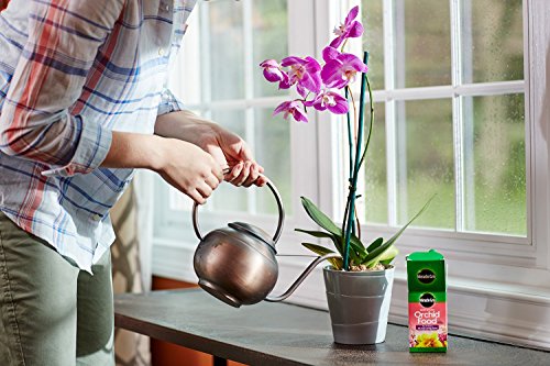 Miracle-Gro Water Soluble Orchid Food, Plant Fertilizer, 8 Oz. #TOP6
