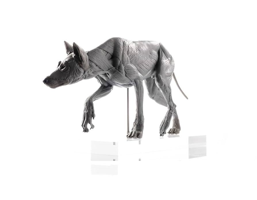 8 動物 フィギュア HF7674 未開封 怪獣8号 Grandista 鳴海弦 フィギュア 2個 - メルカリ