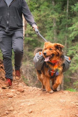 Mountainsmith K9 Dog Pack