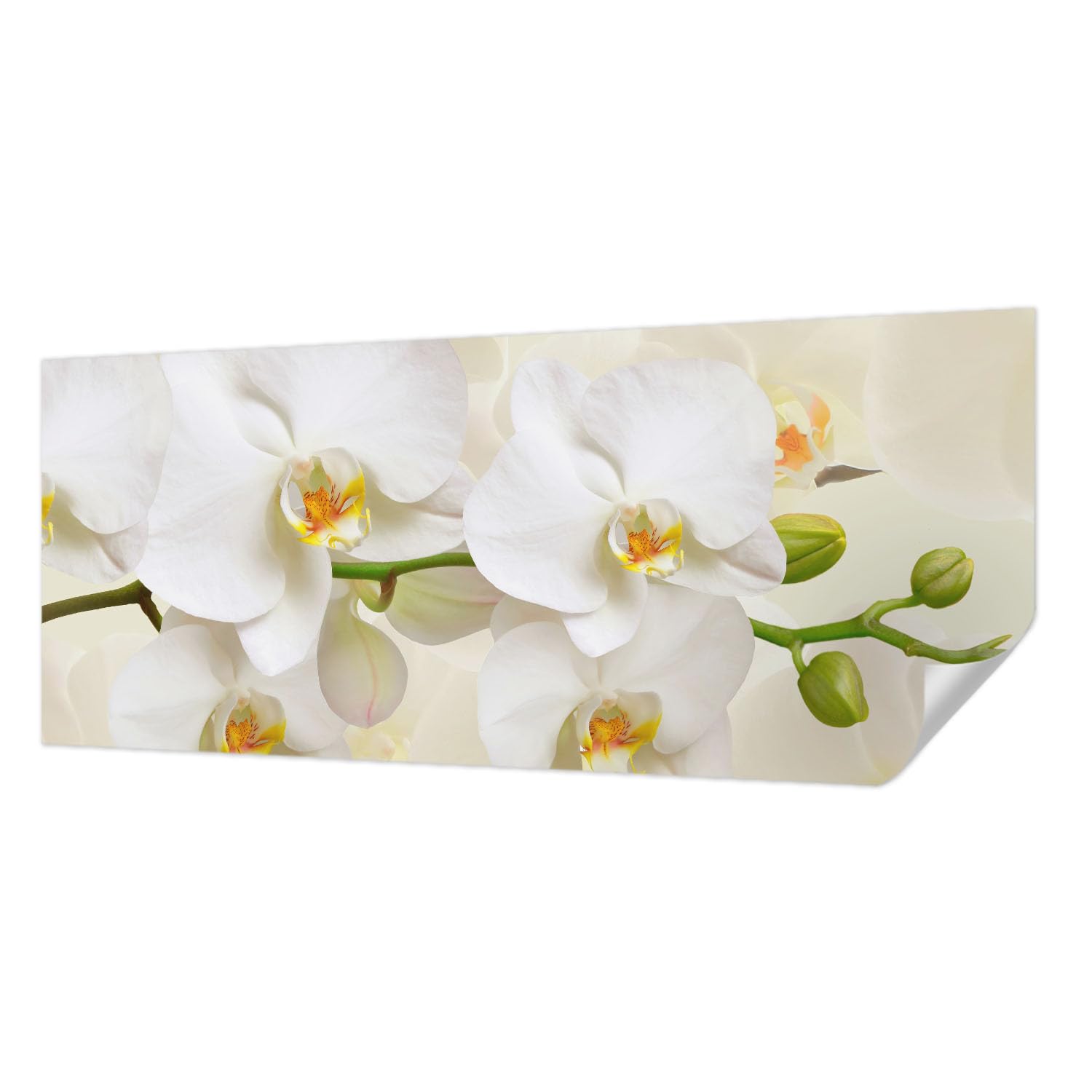 Papier peint adhésif résistant aux taches motif floral Tulup 250x104