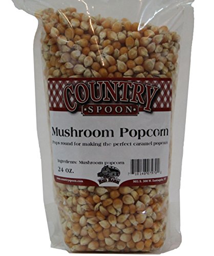 Mushroom Popcorn by Country Spoon