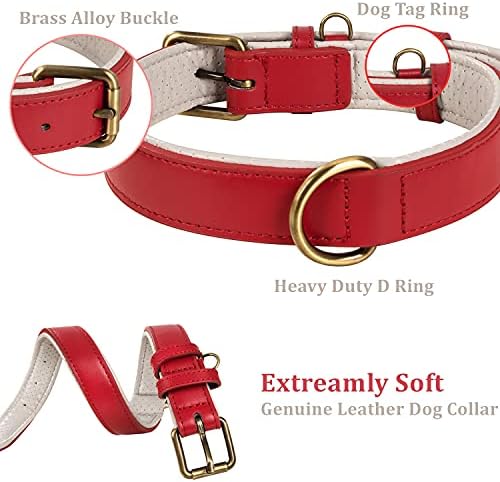 dog collar hardware bulk