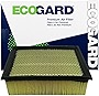 ECOGARD XA5642 Premium Engine Air Filter Fits Ford F-150 3.5L 2011-2021, F-150 5.0L 2011-2021, F-150 2.7L 2015-2020, F-250 Super Duty 6.2L 2011-2016, F-150 5.4L 2009-2010, Expedition 5.4L 2007-2014