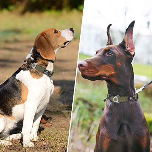 Raipult Designer Magnetic Quick-Release Dog Collar, Premium Soft Nylon Boy Dog Collars With Self-Closing Magnet Buckle, Heavy Duty Adjustable Durable Dog Collar For Small Medium Large Dogs,Olive Green #TOP6