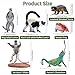 Toymany 12PCS Madagascar Animal Figurines Set, Realistic Lemur Jungle Animal Toys Set Includes Chameleon, Tortoise,Gecko,Fossa,Sifaka -Educational Forest Animals Figure Toy Collection for Kids Adults