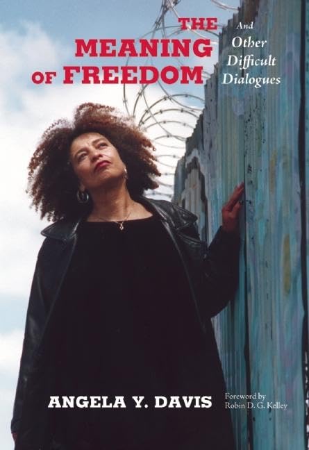 The Meaning of Freedom: And Other Difficult Dialogues (City Lights Open Media) Paperback – August 14, 2012