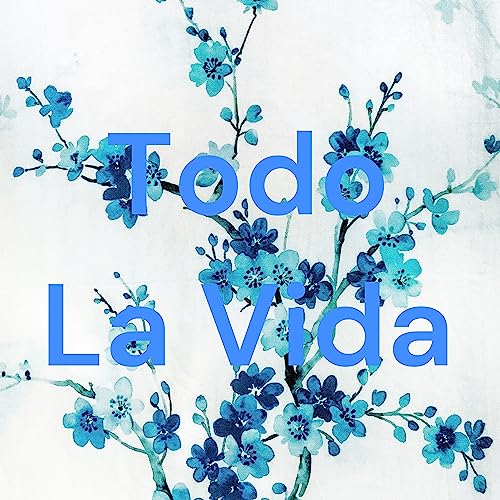 Todo La Vida cover art