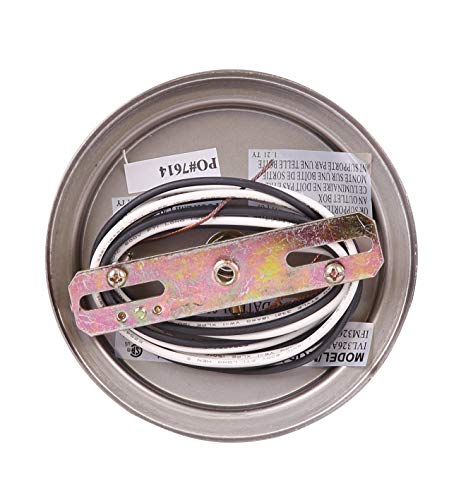 Canarm Ltd. Ipl326A01Bpt Canarm Ltd Ipl326A01Bpt Portia 1-Light Pendant Brushed Pewter #TOP5