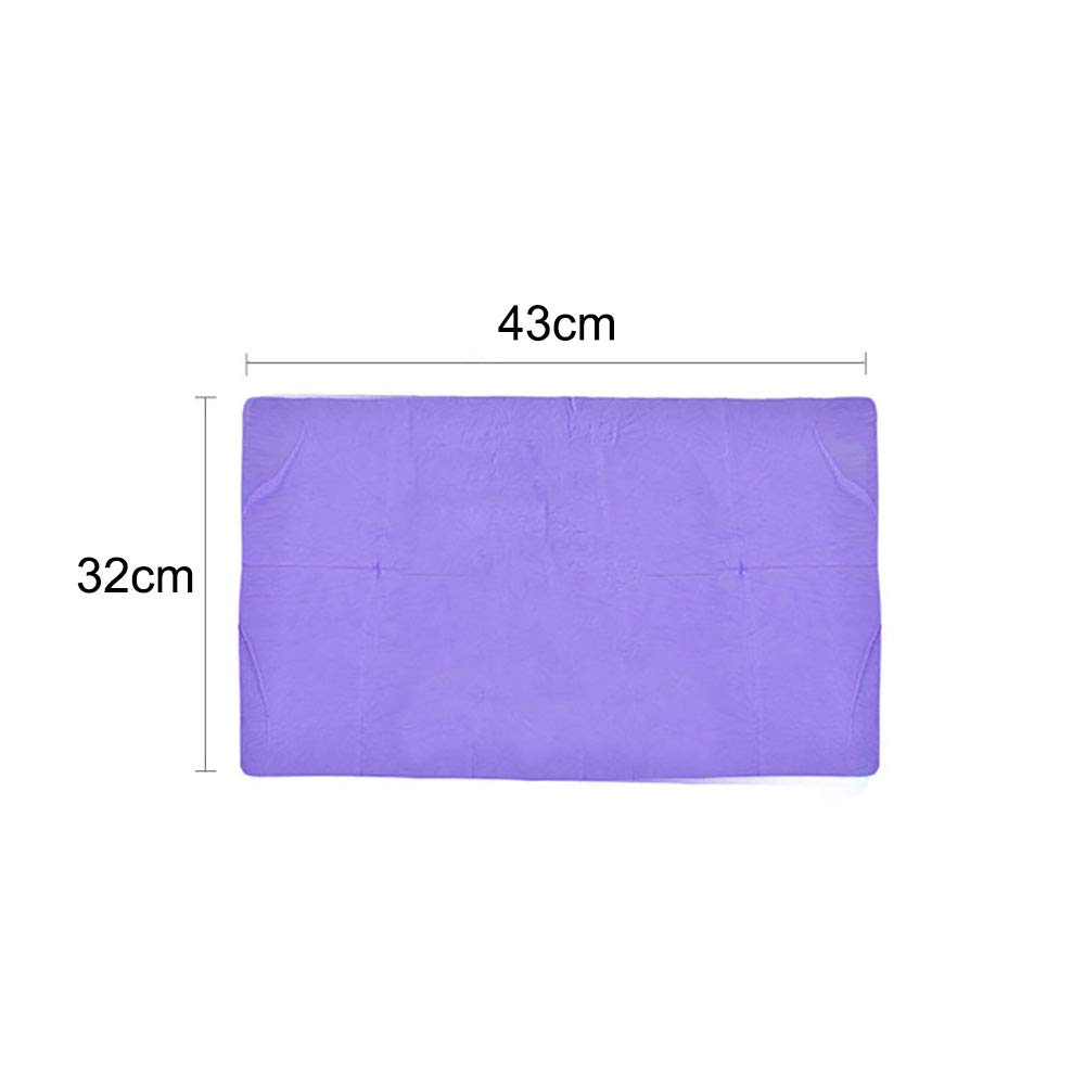 Serviette de Bain à Séchage Rapide Serviette pour Chien pour Chiens et Chats, Super Absorbant Serviette pour Chien pour Animaux de Compagnie