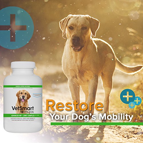 VetSmart Advanced Hip and Joint Complex with MSM Provides Relief of