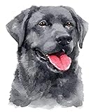 Simple et amusant : Les kits de point de croix imprimés utilisent la méthode des symboles pour identifier le fil de couleur à utiliser, symboles de blocs de couleurs claires du tissu brodé imprimé, vous trouvez cela beaucoup plus facile que ceux qui utilisent simplement la couleur pour identifier les fils