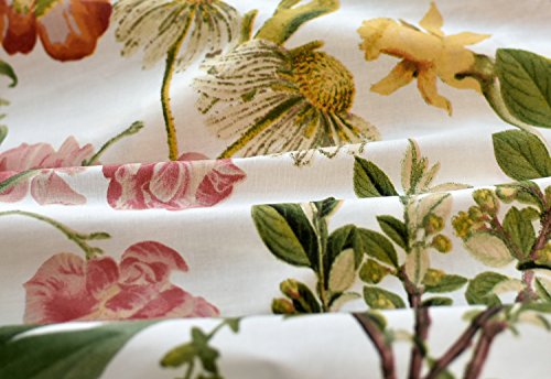 Tahari Home Vintage Botanical Wild Flower Print Duvet