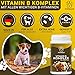 PFOTENGUT® Vitamin B Komplex Hund [Made in Germany] - 140 Tabletten für 5 Monate - Hochdosierte B Vitamine für Hunde & Katzen mit B1, B2, B3, B5, B6, B7, B9 & B12 - Vitamin B für Hunde