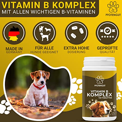 PFOTENGUT® Vitamin B Komplex Hund [Made in Germany] - 140 Tabletten für 5 Monate - Hochdosierte B Vitamine für Hunde & Katzen mit B1, B2, B3, B5, B6, B7, B9 & B12 - Vitamin B für Hunde