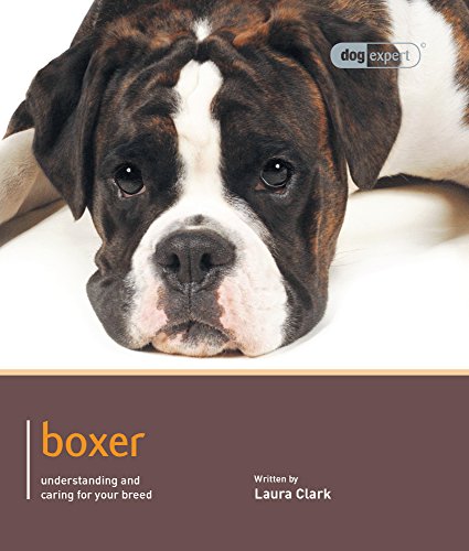 Boxer (Dog Expert)
