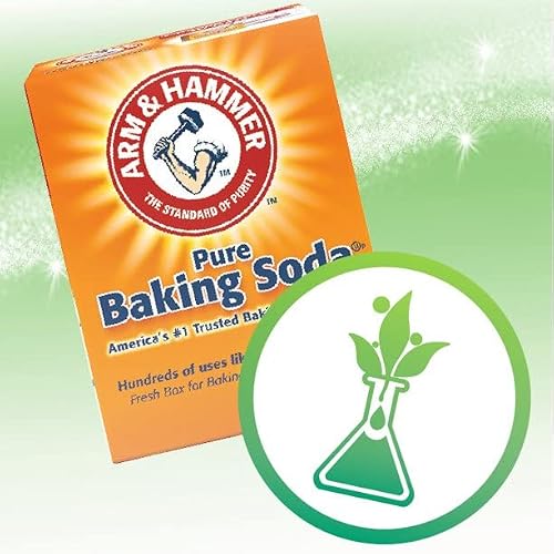 ARM & HAMMER Essentials Natural Deodorant Fresh 2.50 oz (Pack of 4)