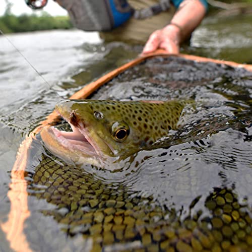 YAZHIDA Fliegen-Set für Fliegenfischen, Forelle, Lachs, Barschfliegen, Trockenfliegen, Nymphen, Fliegenknöpfe, mit wasserdichter Fliegenbox - Image 7