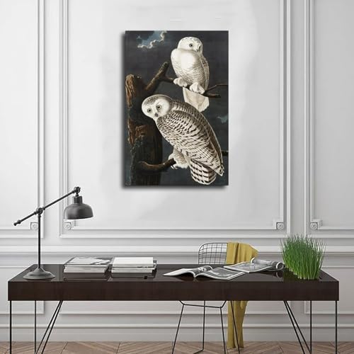 Hiboux des neiges Audubon idee cadeau originale deco chambre