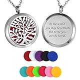 HooAMI Aromatherapy Essential Oil Diffuser Necklace - Stainless Steel Pendant Locket Jewelry,12 Refill Pads (to The World.)