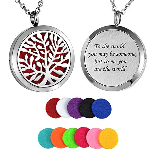 HooAMI Aromatherapy Essential Oil Diffuser Necklace - Stainless Steel Pendant Locket Jewelry,12 Refill Pads (to The World...)