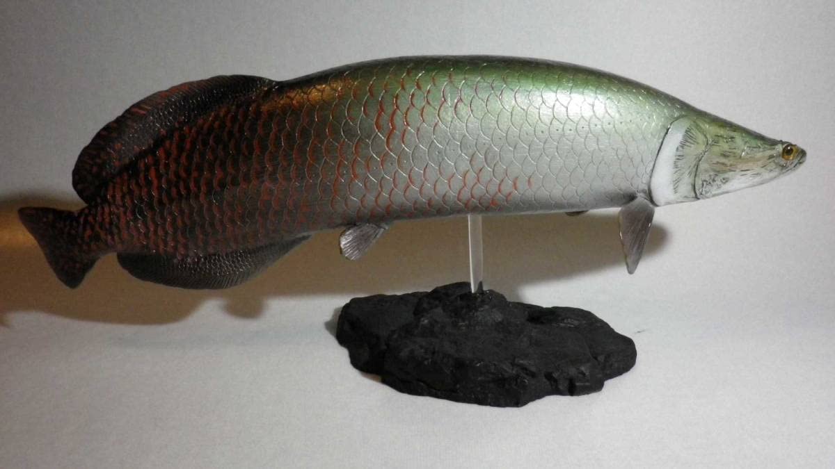 ハンドメイド　39cmピラルク 魚フィギュア　　レプリカ　古代魚　置物　オブジェ 2025年最新】古代魚 ピラルクの人気アイテム - メルカリ