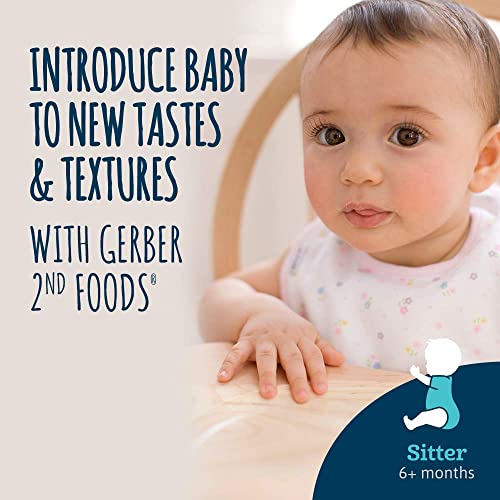 Gerber 2Nd Foods Meats, Turkey & Turkey Gravy,2.5 Ounce (Pack Of 20) #TOP7