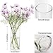 10 Inch Tall Cylinder Vase,Set of 3 Glass Vases for Centerpieces,Clear Flower Vase for Home Decor,Candle Holder,Wedding Favors(4