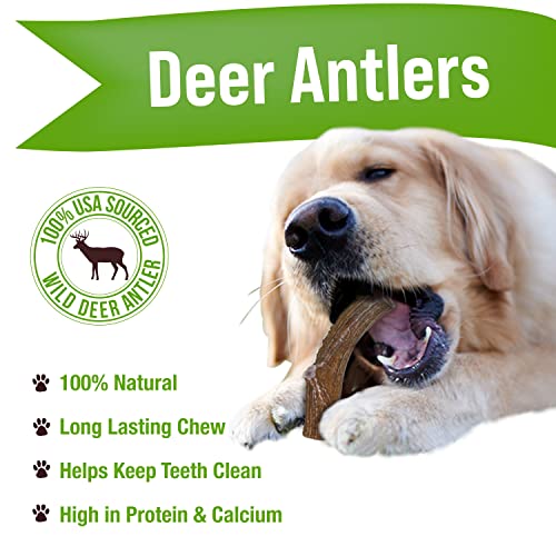 Buck Bone Organics Dog Chews, Deer Antlers For Dogs, Long Lasting Dog Bones For Aggressive Chewers, All Natural, No Preservatives, Wild Shed In The Usa Large #TOP1