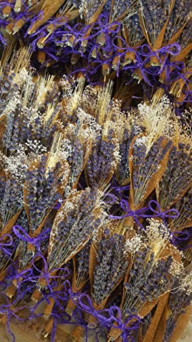 Ramos secos de lavanda, 150 unidades miniatura 5