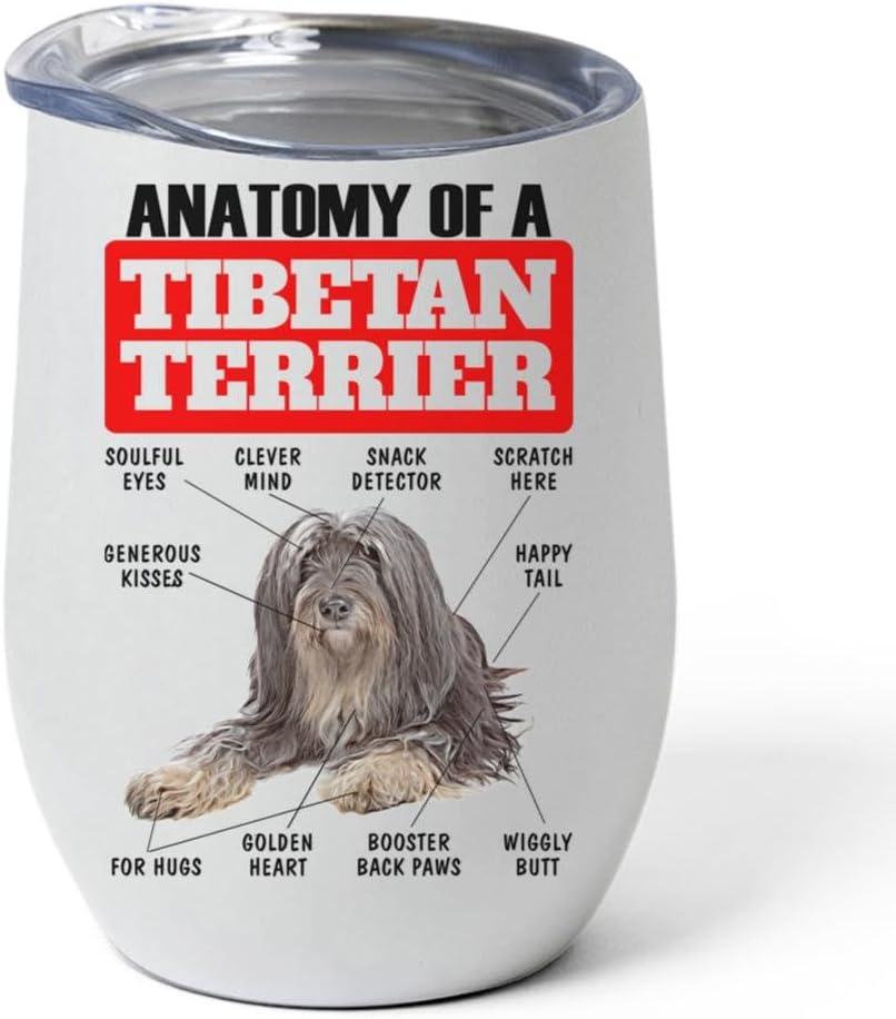 Grizzle Tan Tibetan Terrier Tumbler 12oz - Funny Anatomy Chart Design - Stainless Steel Vacuum Insulated Wine Cup With Lid - Gifts for Dog Lovers