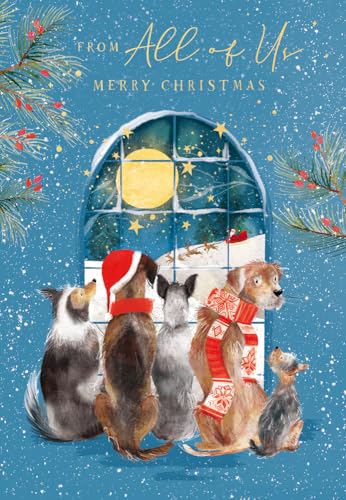 Abacus Cards - Tarjeta de Navidad de All of Us - Perros festivos y escena de Papá Noel - Acabado de lámina dorada en relieve - Tarjeta de felicitación navideña premium con sobre