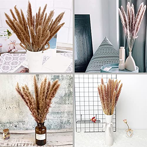 Pampasgras gedroogde decoratie, 30 stuksnatuurlijk gedroogd Phragmites planten droogbloemen decoratie bloemen vaas voor… - Afbeelding 7