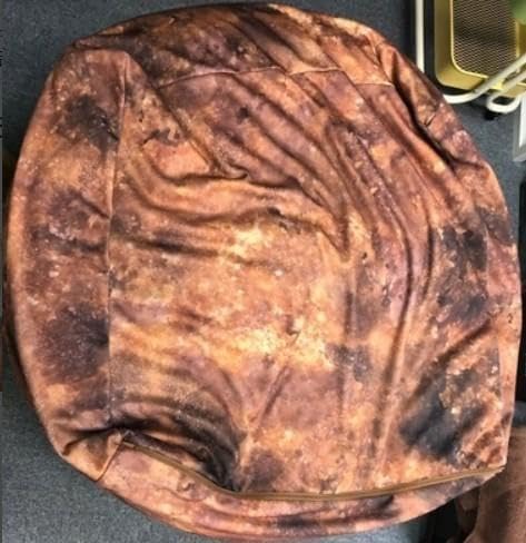 非売品！！ 日清カップヌードルクエスト当選品　謎肉ビーズクッション 日清カップヌードルクエスト当選品 謎肉ビーズクッション