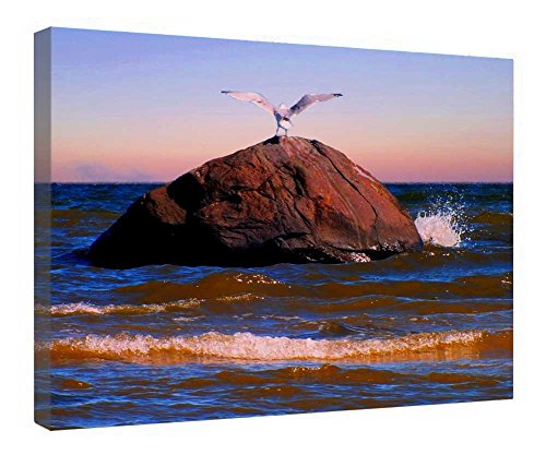 Toile mouette encadrée en bois pour une ambiance bord de mer dans votre salon