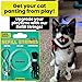 Replacement Strings for Cat Wands, 3 Pieces - Chew-Proof Metal Wire, Durable No Tangle Transparent Fishing Line and Paracord String - Heavy Chewers Refill Strings with Universal Clasps for All Toys