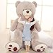 Banabear Lerosier Orsacchiotti di Peluche Gigante da 130 a 340 cm !! Orsacchiotto Orsacchiotto Orso Enorme (Grigio, 340 cm)