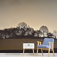 Wall Mural Sunset Sunrise Background Nature Scenery Removable Self-Adhesive Wallpaper Wall Decoration for Bedroom Living Room - 66x96 inches