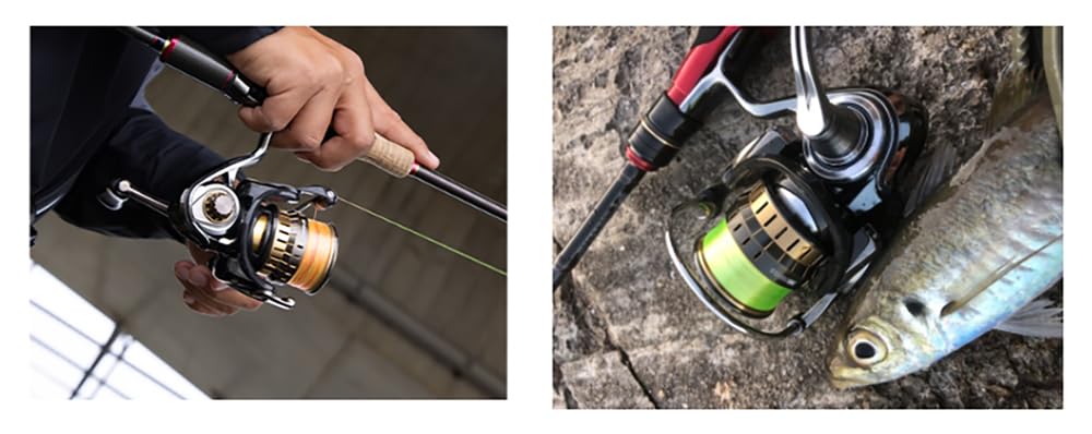 Amazon | Daiwa SLP WORKS(ダイワSLPワークス) スプール SLPW EX LT